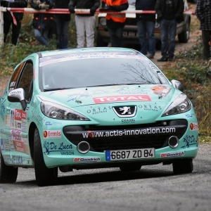 Rally du Var 2010