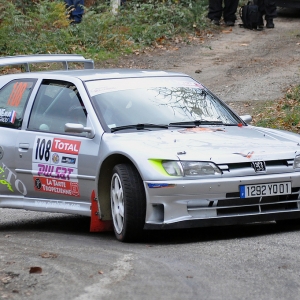 Rally du Var 2010