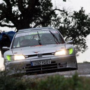 Rally du Var 2010