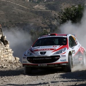 Rally di Cipro 2010