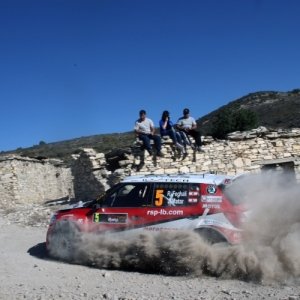 Rally di Cipro 2010