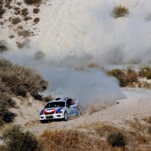 Rally di Cipro 2010