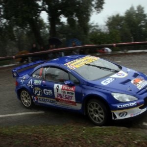 Rally du Var 2010