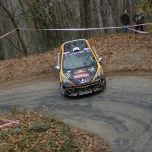 Rally du Var 2010