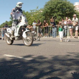 DAKAR 2011