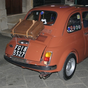 Raduno Fiat 500