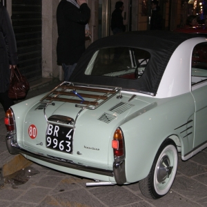 Raduno Fiat 500