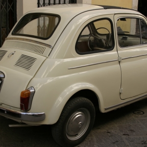 Raduno Fiat 500