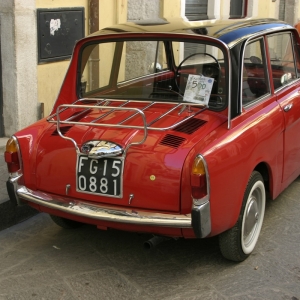 Raduno Fiat 500