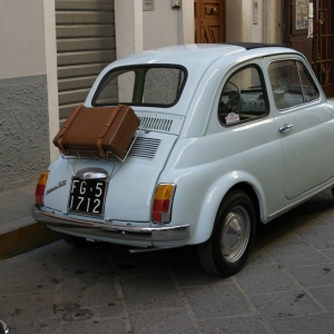 Raduno Fiat 500