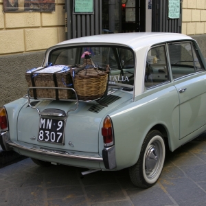 Raduno Fiat 500