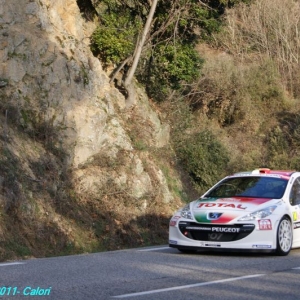 Rally di Montecarlo 2011