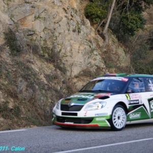 Rally di Montecarlo 2011