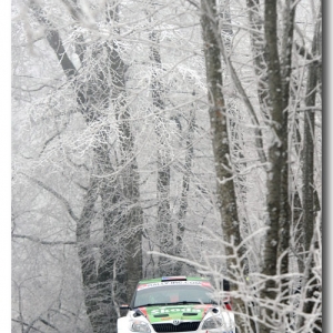 Rally di Montecarlo 2011