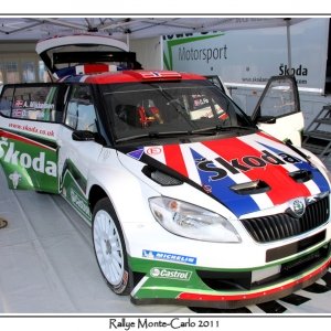 Rally di Montecarlo 2011