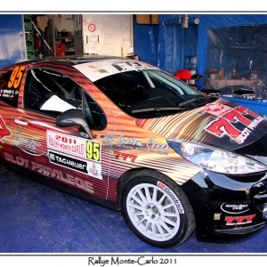 Rally di Montecarlo 2011