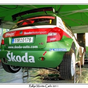 Rally di Montecarlo 2011