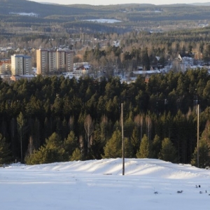 Rally di Svezia 2011