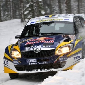 Rally di Svezia 2011