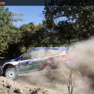 Rally Messico 2011