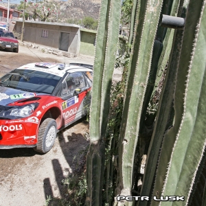 Rally Messico 2011