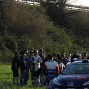 Rally Adriatico 2011