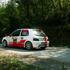 rally racing dreams