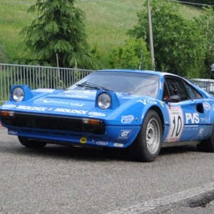 Rally Campagnolo 2011