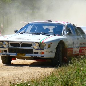 IRC 2010  ( Coiluna )