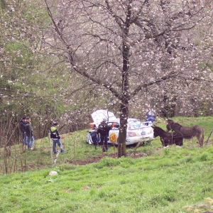 divagazioni campestri