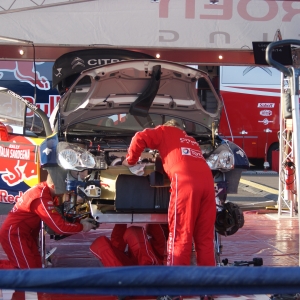 Loeb Assistance... RIS 2011