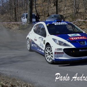 Rally del ciocco 2011