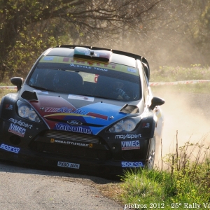 05-DSC_6419_-_Ford_Fiesta_WRC_-_Medici_Davide-De_Luis_Daniele_-_Movisport1