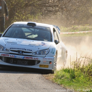 07-DSC_6425_-_Peugeot_206_-_WRC_-_Pascolani_Luciano-Galesi_Monica_-_Automob