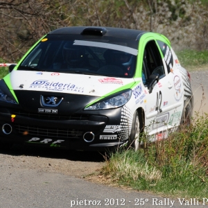 42-DSC_6701_-_Peugeot_207_-_R3T_-_Benazzo_Roberto-Francalanci_Giampaolo_-_M