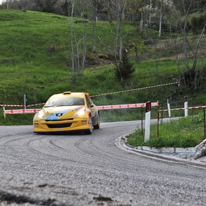 Rally 1000 Miglia 2012