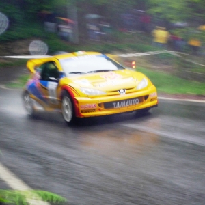 Borsa - Berra Rally Gomitolo 2010