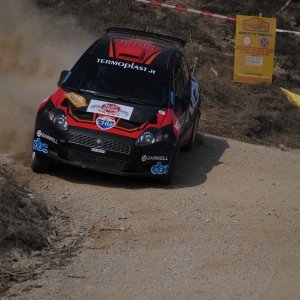 fiat punto s2000 alex de angelis