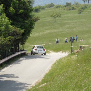 RALLY DELLA MARCA 2013