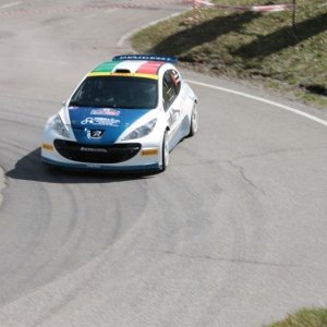 Rally Cividale del Friuli '13