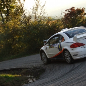 Peugeot 307 WRC