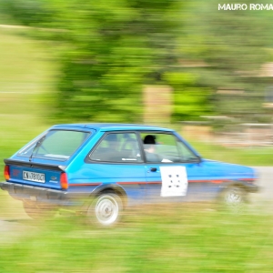 Rally Colline di Oltrepò 2014