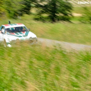 Rally Colline di Oltrepò 2014