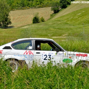 Rally Colline di Oltrepò 2014