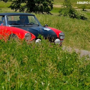 Rally Colline di Oltrepò 2014