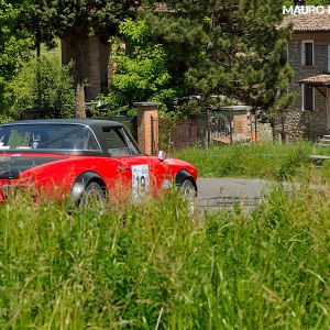 Rally Colline di Oltrepò 2014