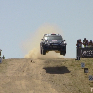 Rally Italia Sardegna 2014