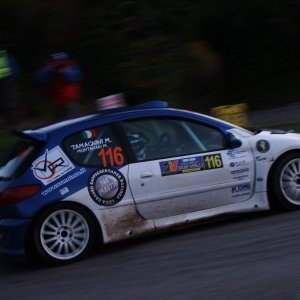 Peugeot 206 S1600