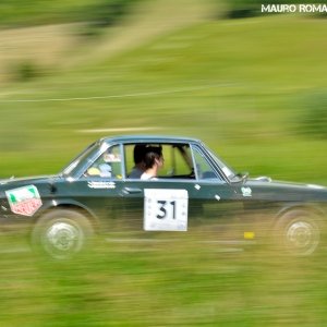 Rally Colline di Oltrepò 2014