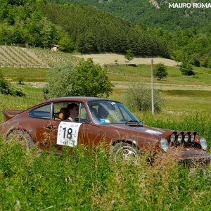 Rally Colline di Oltrepò 2014